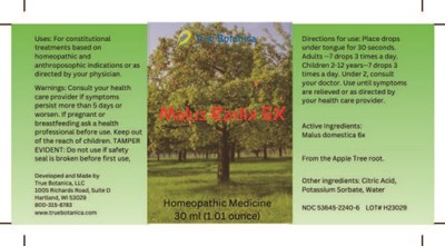 Malus Radix 6x (Malus Radix 6x V1 8 31 2023)